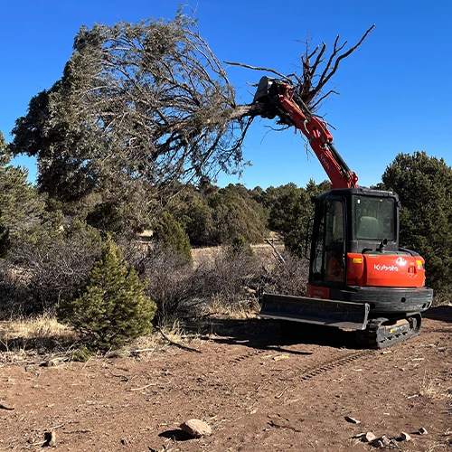 Backhoe Excavator removing a tree from a building site